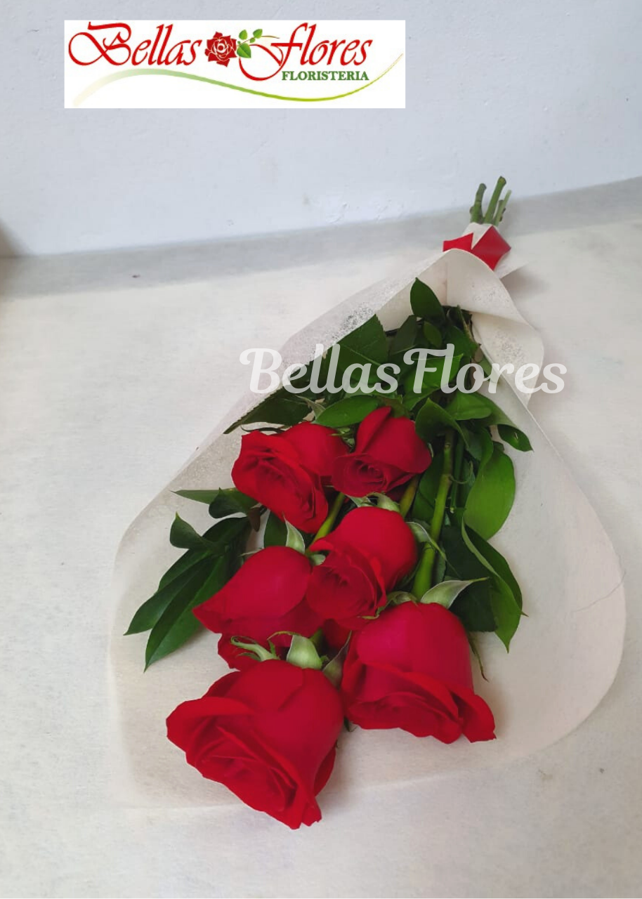 Bouquet rosas rojas H05 - Floristería Flores Bellas