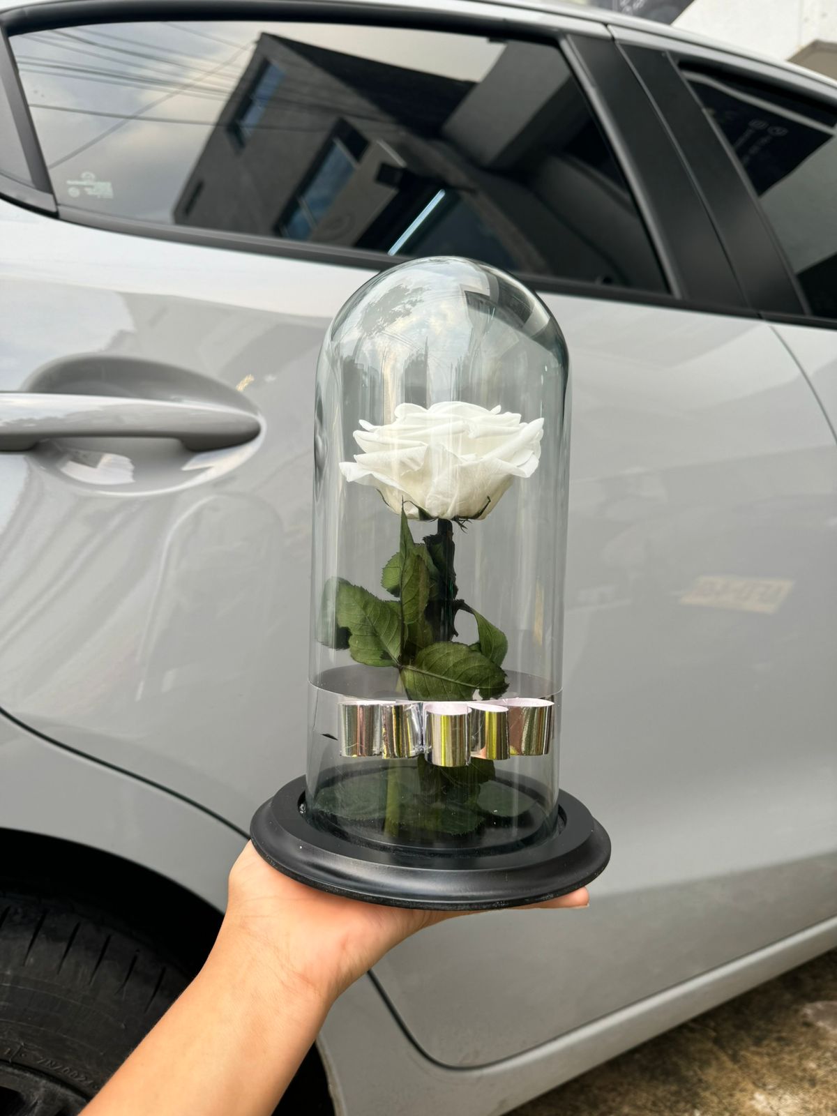 ROSAS BLANCA DE CONDOLENCIA